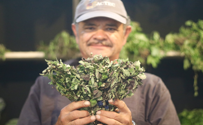 Ceremonia ancestral de preparación de plantas medicinales en los Andes colombianos