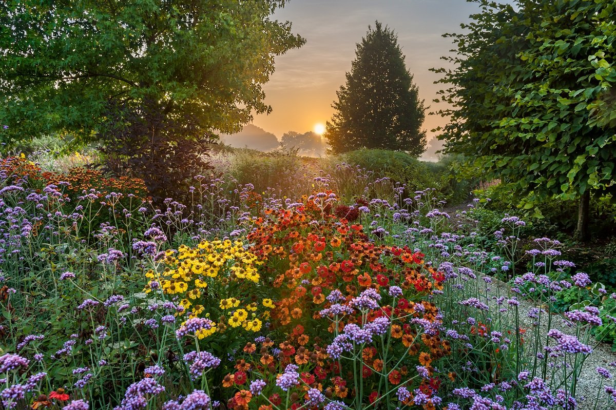 Jardín místico de plantas medicinales colombianas bajo la luz dorada del atardecer